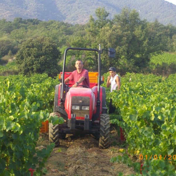 Domaine des Foulards rouges Domaine des Foulards rouges
